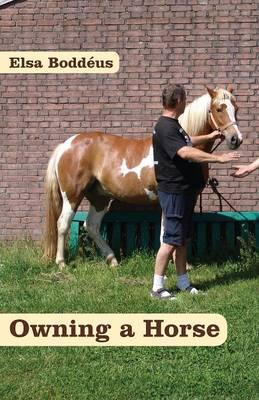 Owning a Horse