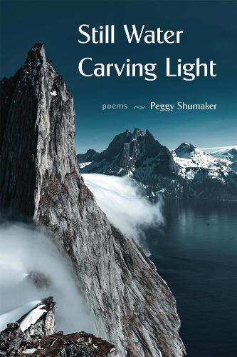 Still Water Carving Light: Poems