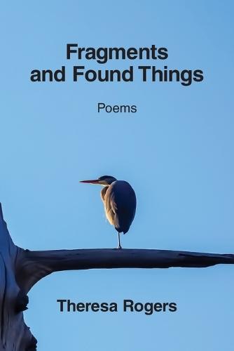 Fragments and Found Things