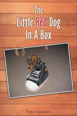 The Little Red Dog In A Box
