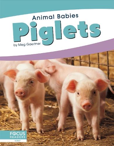 Piglets
