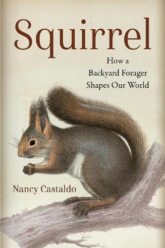 Squirrel: How a Backyard Forager Shapes Our World