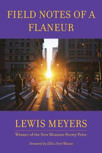 Field Notes of a Flaneur