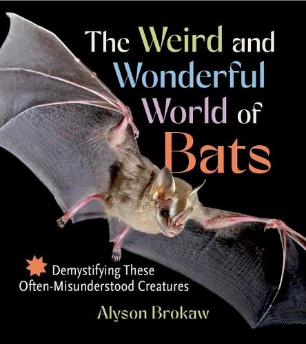 The Weird and Wonderful World of Bats: Demystifying These Often-Misunderstood Creatures