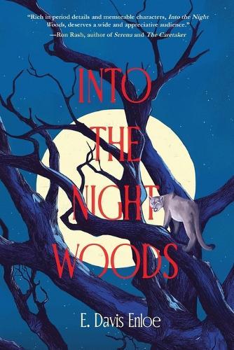 Into the Night Woods