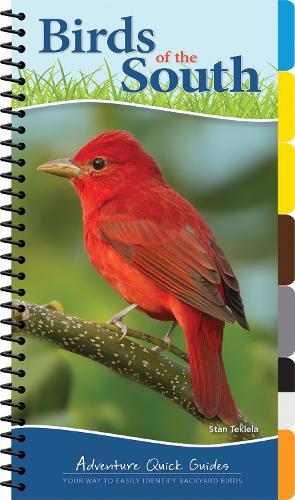 Birds of the South: Your Way to Easily Identify Backyard Birds