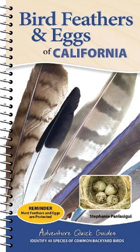 Bird Feathers & Eggs of California: Identify 40 Species of Common Backyard Birds