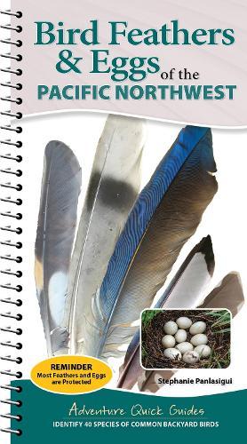 Bird Feathers & Eggs of the Pacific Northwest: Identify 40 Species of Common Backyard Birds