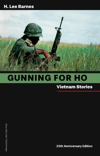 Gunning for Ho: Vietnam Stories