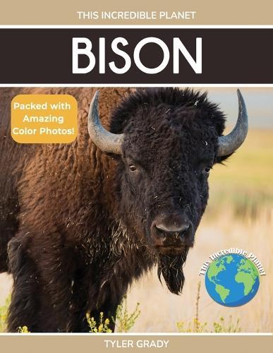Bison: Fascinating Animal Facts for Kids