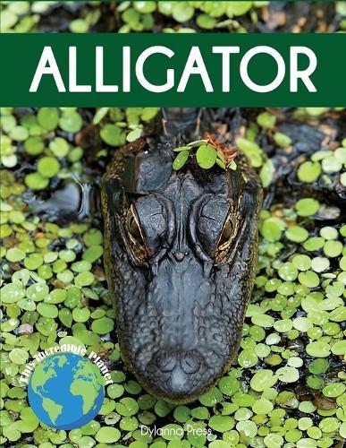 Alligator: Fascinating Animal Facts for Kids