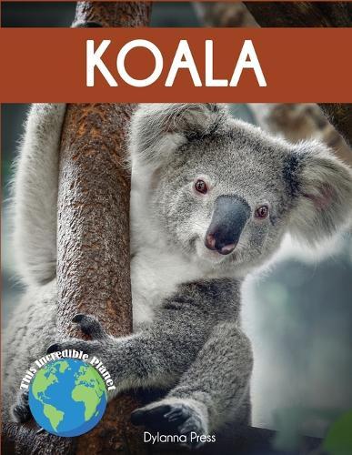 Koala: Fascinating Animal Facts for Kids