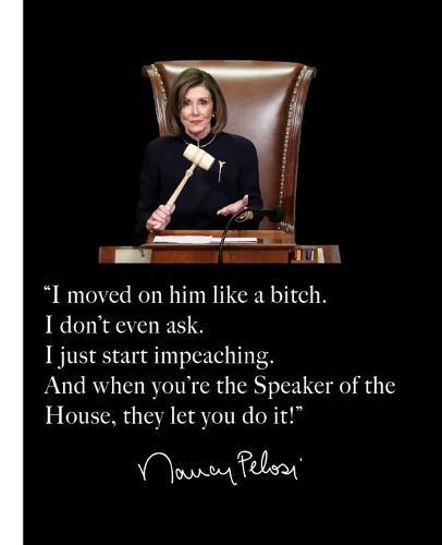 I moved on him like a bitch. I don't even ask. I just start impeaching. And when you're the Speaker of the House, they let you do it!  Nancy Pelosi: A Composition Book for a fan of Democracy, the Constitution, and Powerful Women