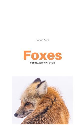 Foxes: Top Quality Photos