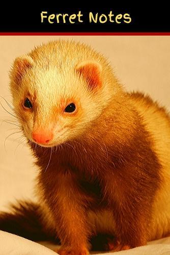 Ferret Notes: Customized Easy to Use, Daily Pet Ferret Accessories Care Log Book to Look After All Your Pet Ferret's Needs. Great For Recording Feeding, Water, Health, Cleaning, and Equipment Maintenance