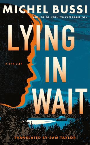 Lying in Wait: A Thriller