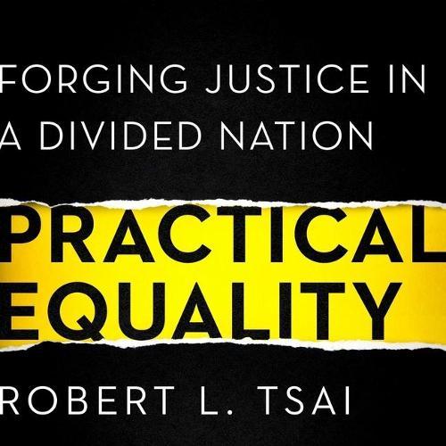 Practical Equality: Forging Justice in a Divided Nation