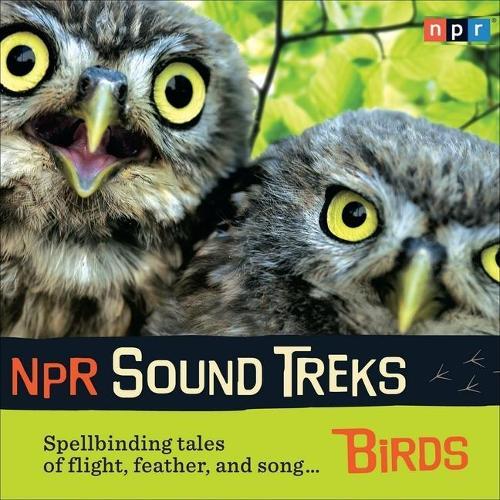 NPR Sound Treks: Birds: Spellbinding Tales of Flight, Feather, and Song