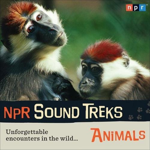 NPR Sound Treks: Animals: Unforgettable Encounters in the Wild
