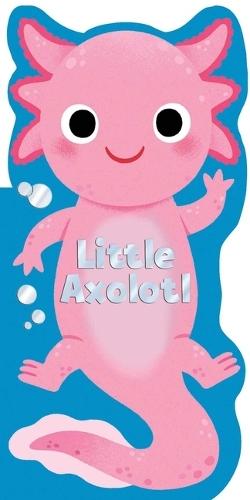 Little Axolotl