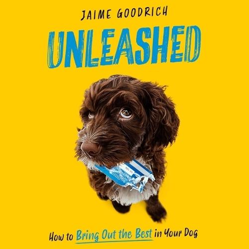 Unleashed: How to Bring Out the Best in Your Dog