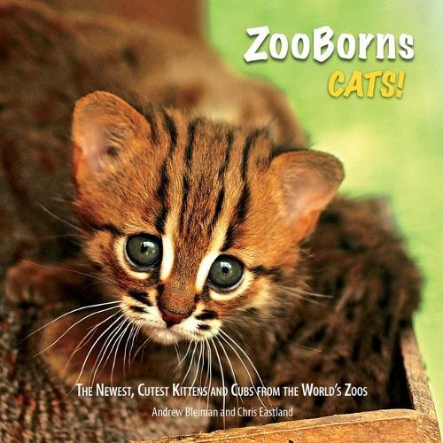 ZooBorns Cats!: The Newest, Cutest Kittens and Cubs from the World's Zoos