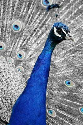 Peacock Lovers 2020 Weekly Monthly Planner: With Agenda & Appointments Calendar Schedule, To Do List, Notes & Gratitude - Peacock Lover Gifts For Men & Women - Beautiful Blue Tropical bird in Plumage Ritual to attract Mate