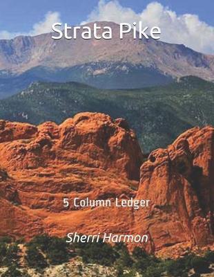 Strata Pike: 5 Column Ledger