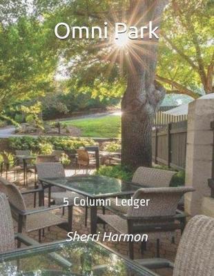 Omni Park: 5 Column Ledger