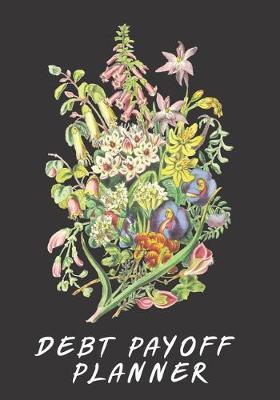 debt payoff planner: debt monthly planner, debt payment log, debt payoff, debt snowball tracker, budget planner insert, financial planner page