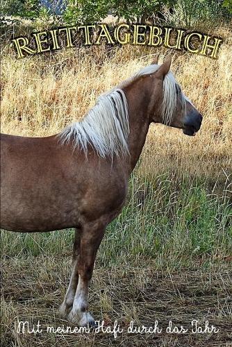 Reittagebuch: Mit meinem Hafi durch das Jahr Das Reit- und Trainingsbuch zum Eintragen für über 200 Reiteinheiten Jahreskalender Geschenkidee Haflinger