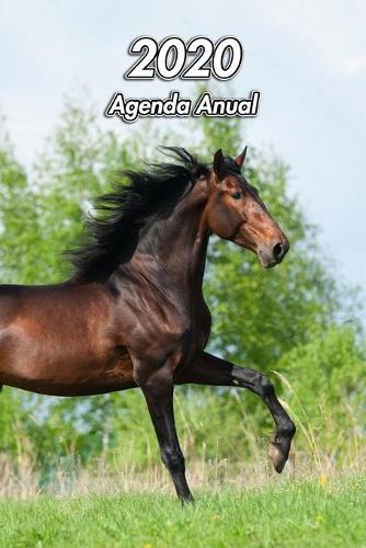 2020 Agenda Anual: Caballo andaluz - Ecuestre - 129 Paginas - Tamano A5 - Planificador Semanal - 12 Meses - 1 Semana en 2 Paginas - Agenda Semana Vista - Tapa Blanda