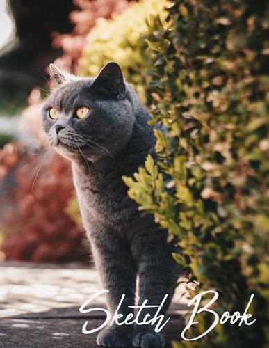 Sketch Book: Cat Photograph Themed Notebook for Drawing, Doodling, Sketching, Painting, Calligraphy or Writing