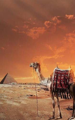 Notebook: landscape desert pyramids camel