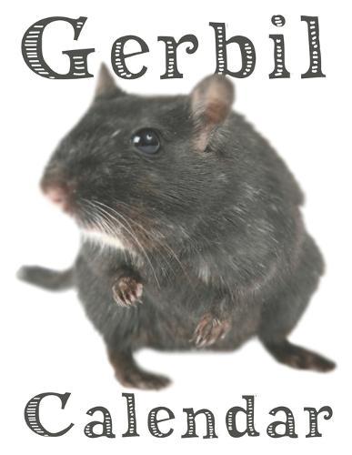 Gerbil Calendar
