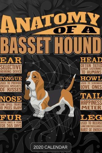 Anatomy Of A Basset Hound hound dog: Basset Hound 2020 Calendar - Customized Gift For Basset Hound Dog Owner