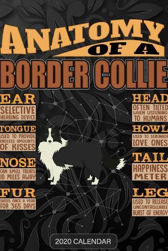 Anatomy Of A Border Collie: Border Collie 2020 Calendar - Customized Gift For Border Collie Dog Owner