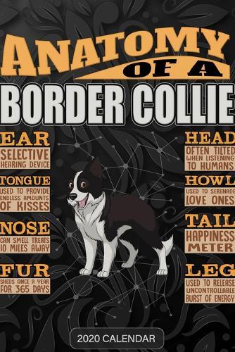 Anatomy Of A Border Collie: Border Collie 2020 Calendar - Customized Gift For Border Collie Dog Owner