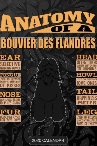 Anatomy Of A Bouvier Des Flandres: Bouvier Des Flandres 2020 Calendar - Customized Gift For Bouvier Des Flandres Dog Owner