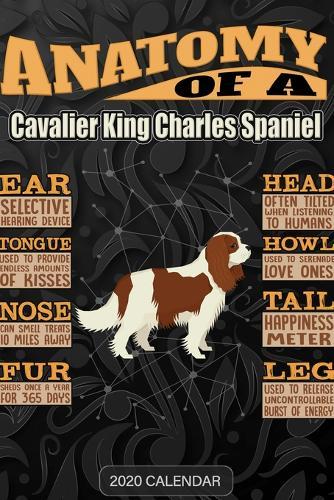 Anatomy Of A Cavalier King Charles Spaniel: Cavalier King Charles Spaniel 2020 Calendar - Customized Gift For Cavalier King Charles Spaniel Dog Owner