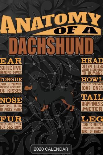 Anatomy Of A Dachshund: Dachshund 2020 Calendar - Customized Gift For Dachshund Dog Owner