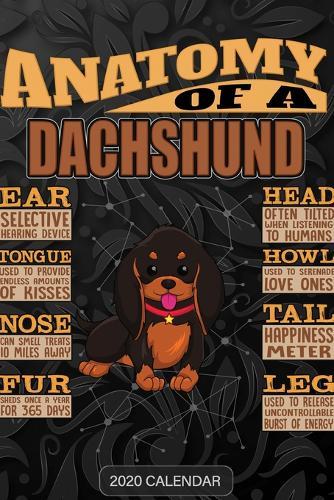 Anatomy Of A Dachshund: Dachshund 2020 Calendar - Customized Gift For Dachshund Dog Owner