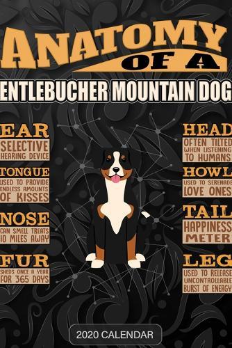 Anatomy Of A Entlebucher Mountain Dog: Entlebucher Mountain Dog 2020 Calendar - Customized Gift For Entlebucher Mountain Dog Dog Owner