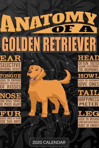 Anatomy Of A Golden Retriever: Golden Retriever 2020 Calendar - Customized Gift For Golden Retriever Dog Owner