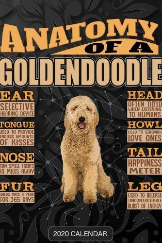 Anatomy Of A Goldendoodle: Goldendoodle 2020 Calendar - Customized Gift For Goldendoodle Dog Owner