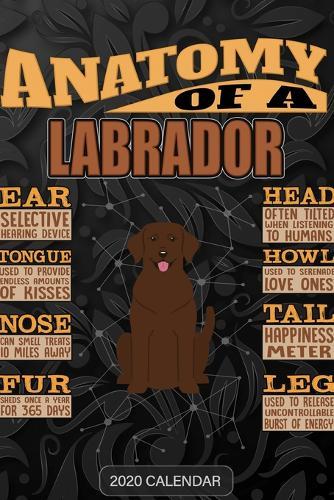 Anatomy Of A Labrador Retriever: Labrador Retriever 2020 Calendar - Customized Gift For Labrador Retriever Dog Owner