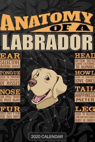 Anatomy Of A Labrador Retriever: Labrador Retriever 2020 Calendar - Customized Gift For Labrador Retriever Dog Owner
