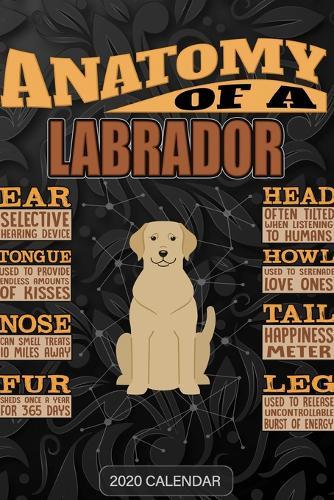 Anatomy Of A Labrador Retriever: Labrador Retriever 2020 Calendar - Customized Gift For Labrador Retriever Dog Owner