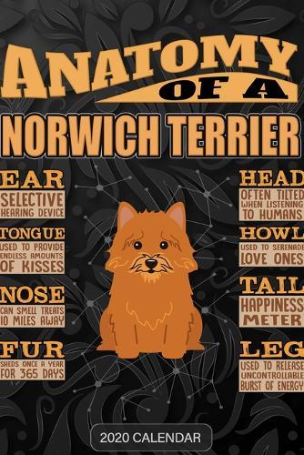 Anatomy Of A Norwich Terrier: Norwich Terrier 2020 Calendar - Customized Gift For Norwich Terrier Dog Owner