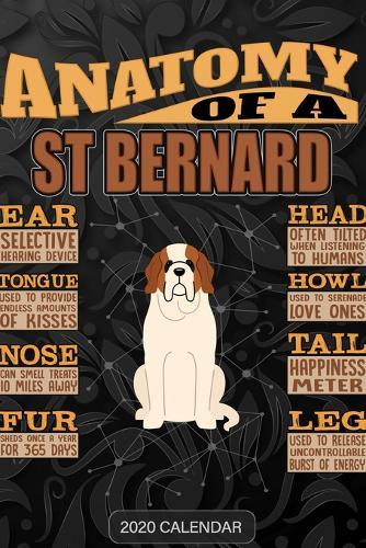 Anatomy Of A St Bernard: St Bernard Dog 2020 Calendar - Customized Gift For St Bernard Dog Dog Owner